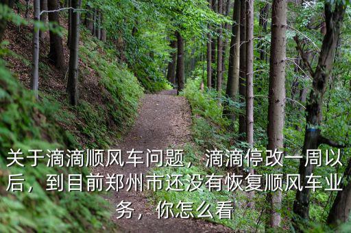 關于滴滴順風車問題，滴滴停改一周以后，到目前鄭州市還沒有恢復順風車業務，你怎么看