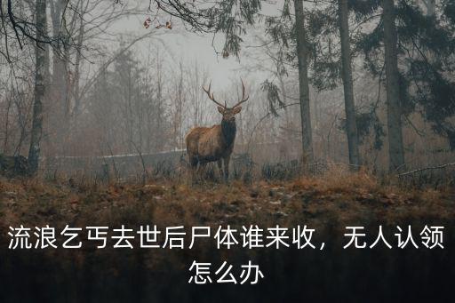 河南無人認領的流浪人怎么辦,無人認領怎么辦