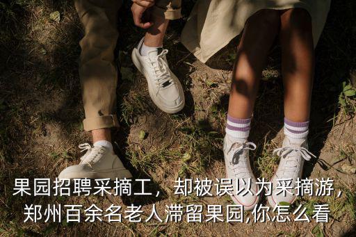 果園招聘采摘工，卻被誤以為采摘游，鄭州百余名老人滯留果園,你怎么看