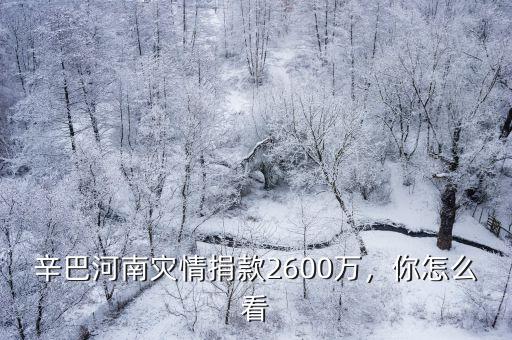 辛巴河南災情捐款2600萬，你怎么看