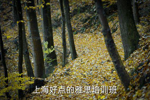上海好點的雅思培訓班