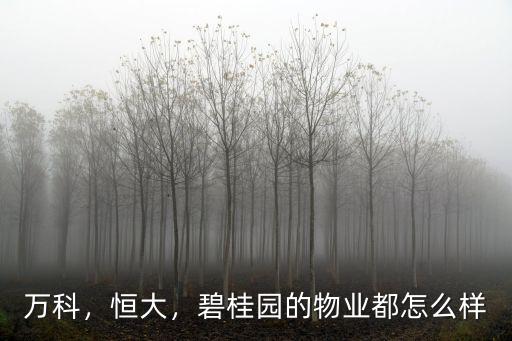 萬科，恒大，碧桂園的物業(yè)都怎么樣