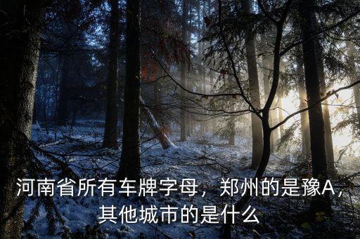 河南省所有車牌字母，鄭州的是豫A，其他城市的是什么