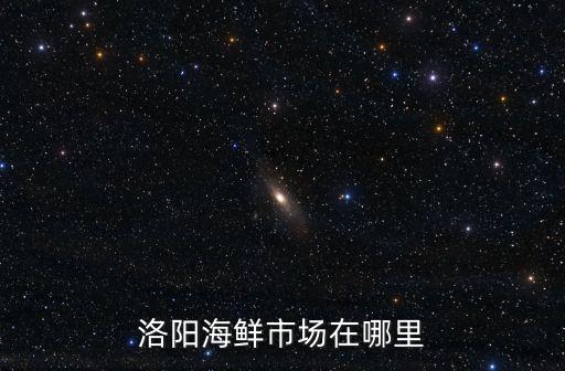 洛陽海鮮市場(chǎng)在哪里