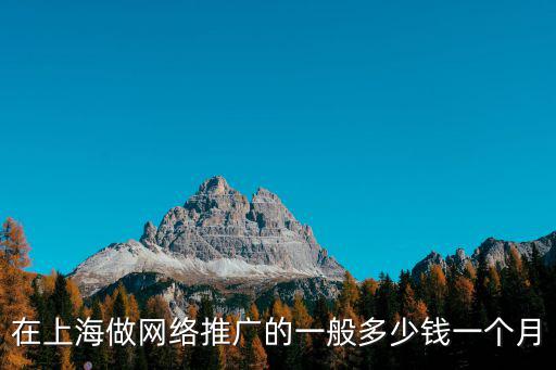 上海網絡推廣，在上海做網絡推廣的一般多少錢一個月