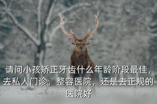 請問小孩矯正牙齒什么年齡階段最佳，去私人門診，整容醫院，還是去正規的醫院好