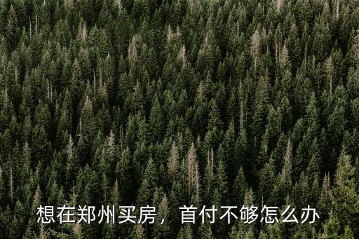 想在鄭州買房，首付不夠怎么辦