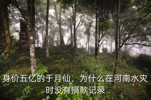 鞠婧?t捐款了多少錢河南,河南水災少林寺捐款了嗎