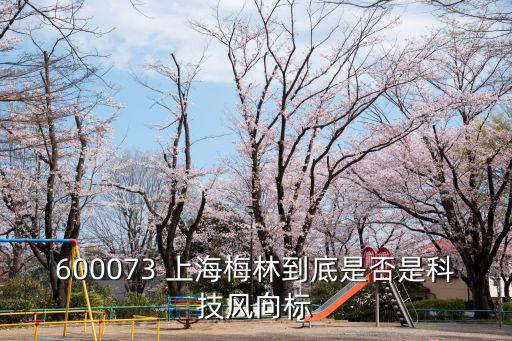 600073 上海梅林到底是否是科技風(fēng)向標(biāo)