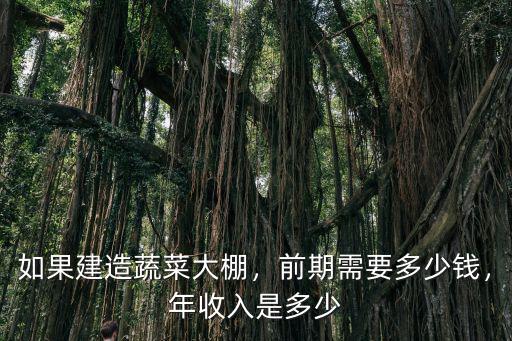 濮陽新型蔬菜大棚多少錢,如果建造蔬菜大棚