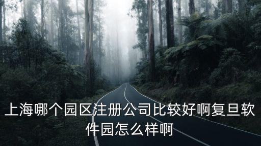 上海哪個園區(qū)注冊公司比較好啊復(fù)旦軟件園怎么樣啊