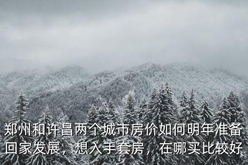 鄭州和許昌兩個城市房價如何明年準備回家發展，想入手套房，在哪買比較好