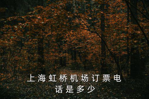 上 海 虹 橋 機 場 訂 票 電 話 是 多 少
