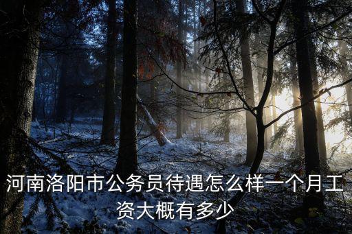 洛陽迪信通待遇怎么樣,洛陽工資水平怎么樣