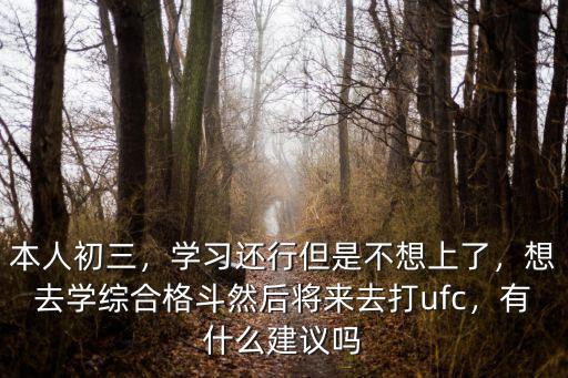 本人初三，學習還行但是不想上了，想去學綜合格斗然后將來去打ufc，有什么建議嗎