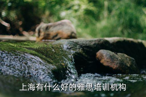 上海有什么好的雅思培訓機構