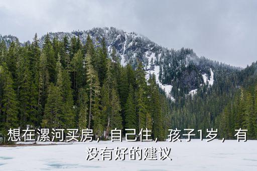 想在漯河買房，自己住，孩子1歲，有沒有好的建議