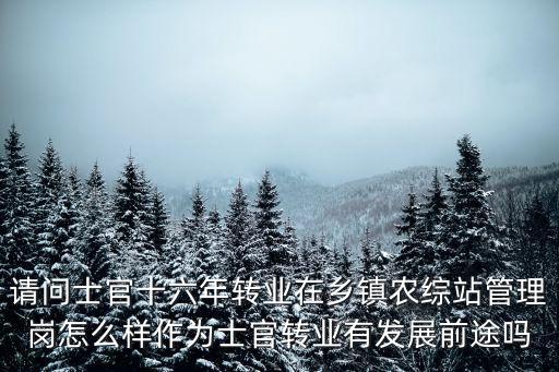 河南鄭州士官轉業安置怎么樣,河南的定向士官培養怎么樣