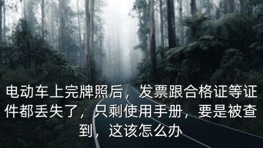電動車上完牌照后，發票跟合格證等證件都丟失了，只剩使用手冊，要是被查到，這該怎么辦