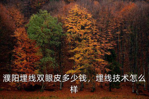濮陽埋線雙眼皮多少錢，埋線技術怎么樣