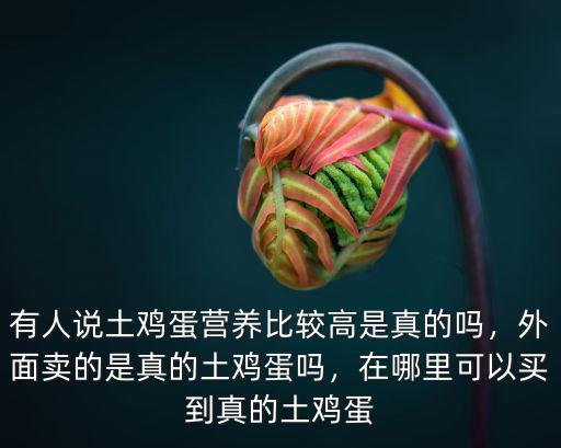 有人說土雞蛋營養比較高是真的嗎，外面賣的是真的土雞蛋嗎，在哪里可以買到真的土雞蛋