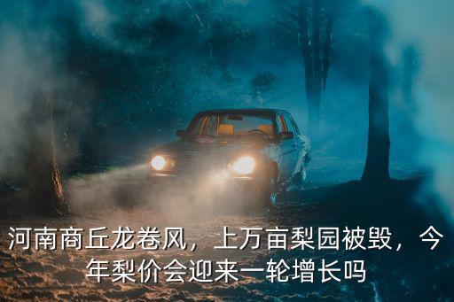 河南商丘龍卷風(fēng)，上萬畝梨園被毀，今年梨價會迎來一輪增長嗎