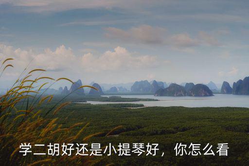 三門峽哪里學小提琴,學小提琴最難的是什么