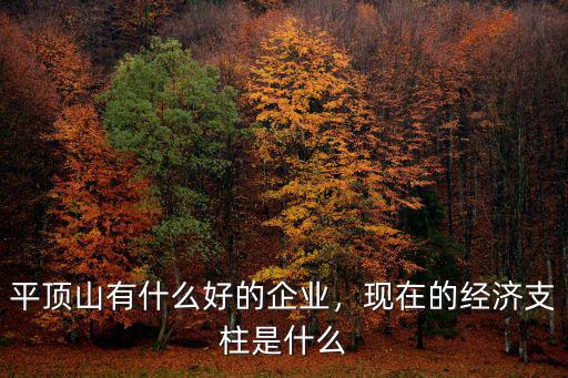 平頂山有什么好的企業，現在的經濟支柱是什么