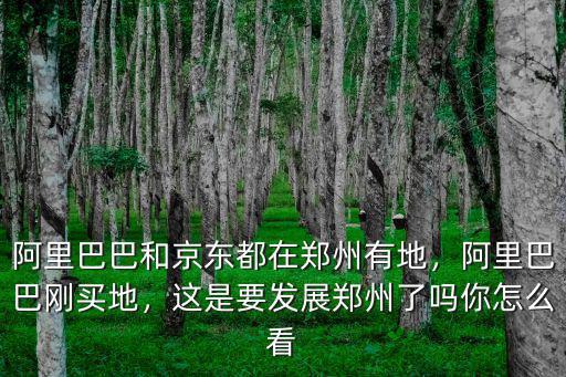 阿里巴巴鄭州地址在哪里,阿里巴巴剛買地