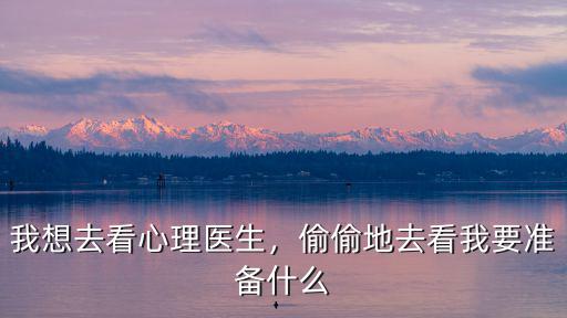 我想去看心理醫(yī)生，偷偷地去看我要準(zhǔn)備什么