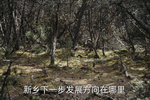 新鄉下一步發展方向在哪里