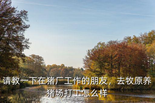 河南牧原集團養豬工怎么樣,高樓養豬到底怎么樣
