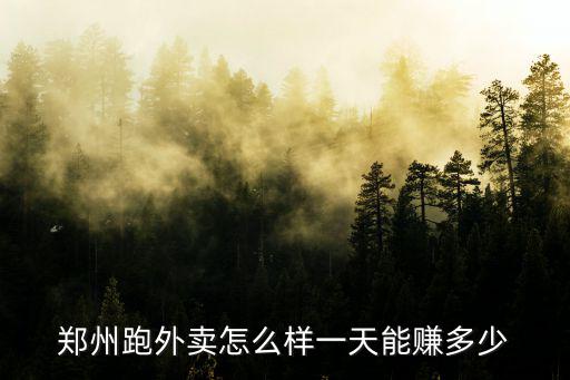 鄭州眾包一天能跑多少,一天能賺多少