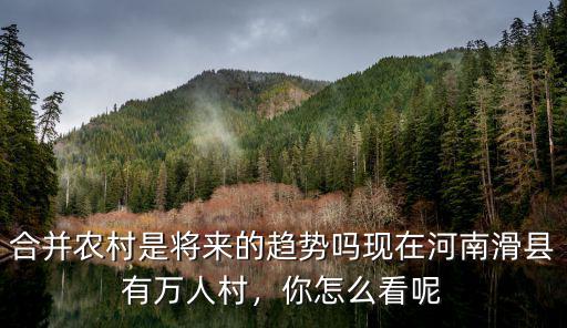 合并農(nóng)村是將來的趨勢嗎現(xiàn)在河南滑縣有萬人村，你怎么看呢