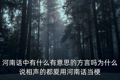 中有多少種意思河南話,河南話是古代的普通話嗎