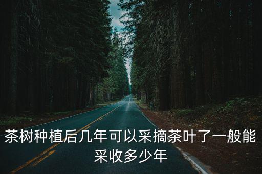 信陽茶葉種植怎么種,我是茶葉種植戶