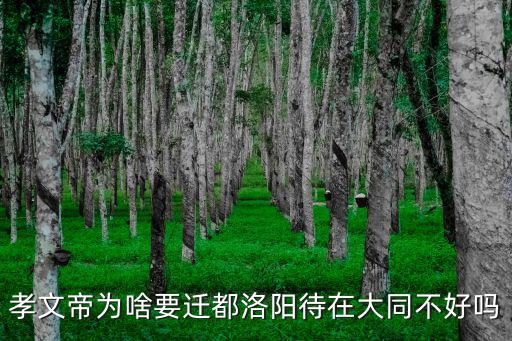 如果孝文帝沒有遷都洛陽會怎么樣,孝文帝為啥要遷都洛陽
