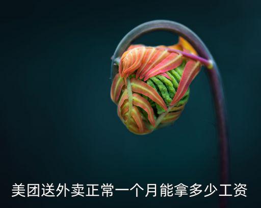 安陽美團外賣工資怎么,美團送餐員工資如何