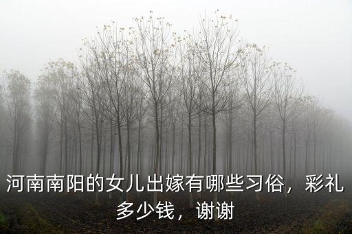 河南南陽的女兒出嫁有哪些習俗，彩禮多少錢，謝謝