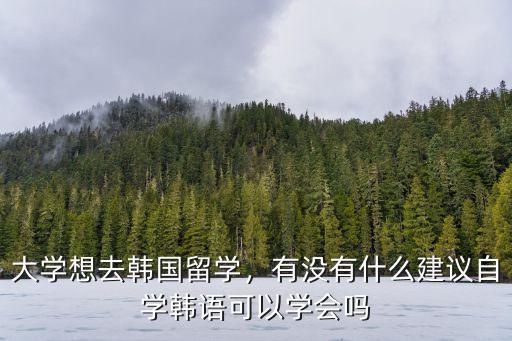 大學想去韓國留學，有沒有什么建議自學韓語可以學會嗎