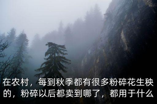 在農村，每到秋季都有很多粉碎花生秧的，粉碎以后都賣到哪了，都用于什么