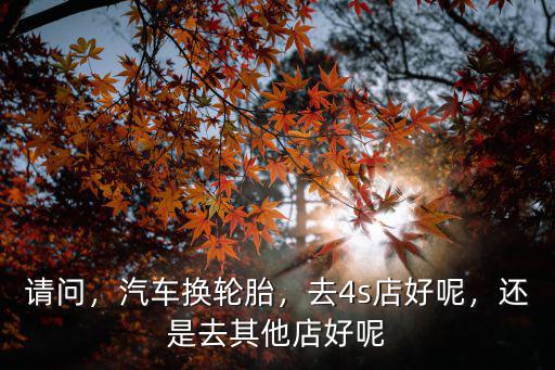請問，汽車換輪胎，去4s店好呢，還是去其他店好呢