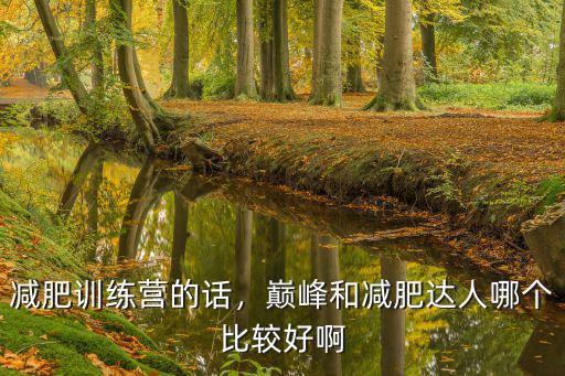 減肥訓練營的話，巔峰和減肥達人哪個比較好啊