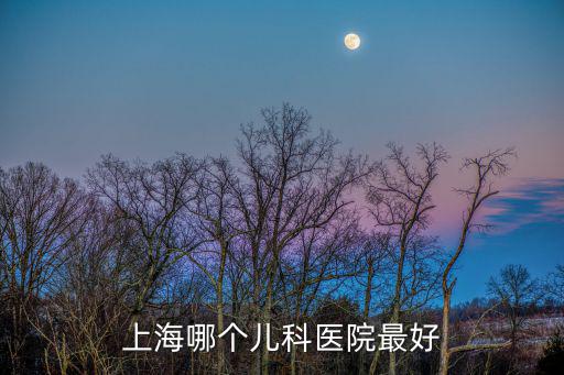 上海哪個兒科醫院最好