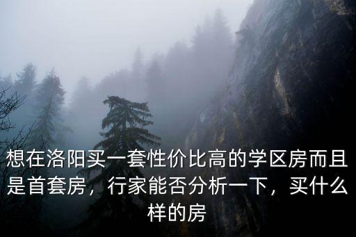 想在洛陽買一套性價比高的學(xué)區(qū)房而且是首套房，行家能否分析一下，買什么樣的房