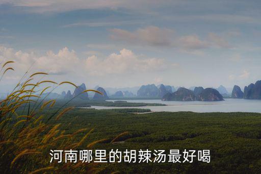 河南口碑比較好的伏特加哪里買,哪里的道口燒雞比較正宗