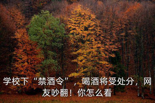 學(xué)校下“禁酒令”，喝酒將受處分，網(wǎng)友吵翻！你怎么看