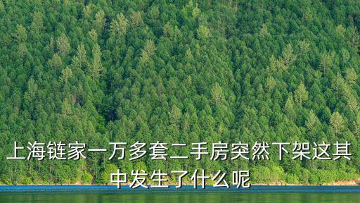 上海鏈家一萬多套二手房突然下架這其中發生了什么呢