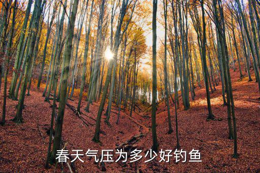 河南三門峽地區(qū)氣壓多少好釣魚,氣壓多少好釣魚