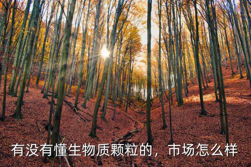有沒有懂生物質顆粒的，市場怎么樣